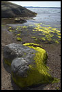 Stone By A Coast, Best of 2005, Norway