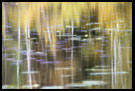 Autumn Is Comming, Best of 2005, Norway