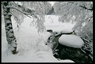 New Snow In Nordmarka, Best of 2007, Norway