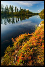 Fall Colors By A Water Channel, Fjorda In Autumn, Norway