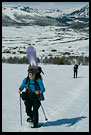 Off piste skiing, Hemsedal In Winter, Norway