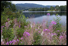 Landscape Of The Telemarkskanalen, The Telemark Canal (Telemarkskanalen), Norway