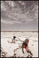 Senegal - Salt Harvesting