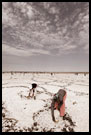 Senegal - Salt Harvesting