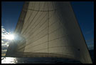 Sunrise and Sail, West coast<br /><b class='black'>new</b>, Sweden
