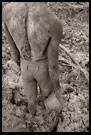 Muddy Body Of A Worker Of Diamond Mine's, Diamond Mines<br /><b class='black'>new</b>, Sierra Leone