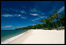 Beautiful Beach, People And Nature, Sierra Leone