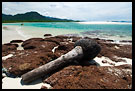Beach, People And Nature, Sierra Leone