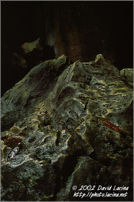 bat cave, bukit lawang - Lake Toba, Indonesia