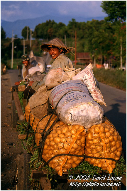 comming back from field - Kerinci, Indonesia