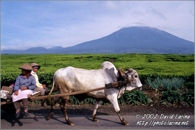 local means of transport - Kerinci, Indonesia