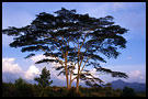 sunset, Kerinci, Indonesia