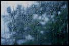 the rainy day, Kerinci, Indonesia