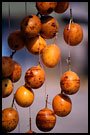 passion fruits, Kerinci, Indonesia