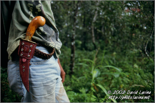 the wild pig hunter - Lake Maninjau, Indonesia