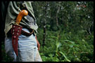 the wild pig hunter, Lake Maninjau, Indonesia