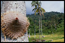 the rest, Lake Maninjau, Indonesia