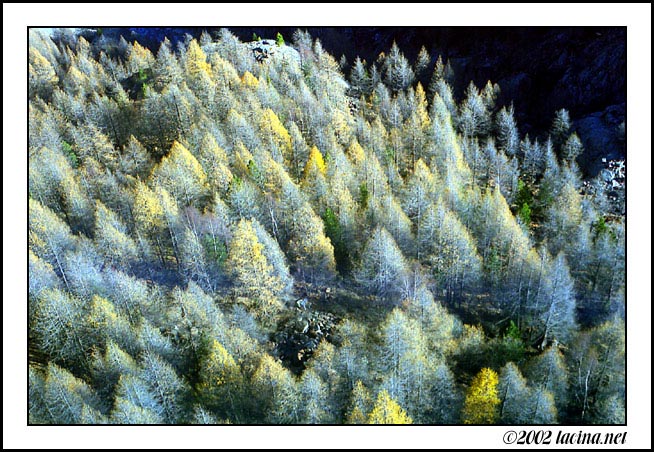 Switzerland - Best Of, Switzerland