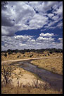 Tarangire Scenery, Tarangire NP, Tanzania
