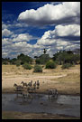 Tarangire Scenery, Tarangire NP, Tanzania