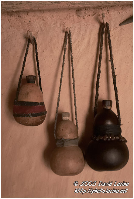 Magic Boxes - Nature Of Usambara Mountains, Tanzania