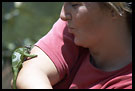 Playing With Chameleon, Nature Of Usambara Mountains, Tanzania