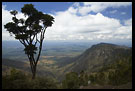 Usambara Landscape, Nature Of Usambara Mountains, Tanzania