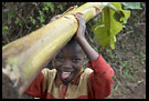 Returning From A Work, People Of Usambara Mountains, Tanzania