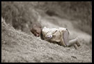 Energy, Colorized Tanzania, Tanzania