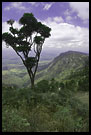 Usambara Landscape, Colorized Tanzania, Tanzania