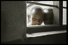 Curiosity, Colorized Tanzania, Tanzania