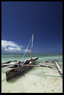 Adventure Ahead, Northern Zanzibar, Tanzania