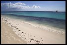 Boat On Horizon, Northern Zanzibar, Tanzania