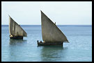 Dhows On Sea, Stone Town, Tanzania