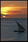 Day Is Leaving, Stone Town, Tanzania