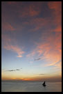 Sunset On Zanzibar, Stone Town, Tanzania