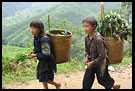 Tribal Kids, Vietnam In Color, Vietnam